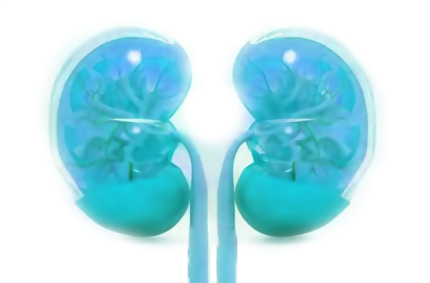 Cura Ipercortisolemia: Surrenali e Cortisolo