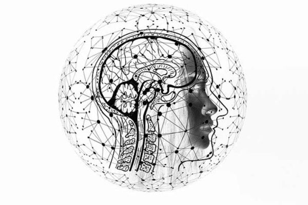 Prevenzione della degenerazione cerebrale con la fitoterapia