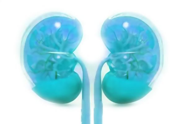 Cura Ipercortisolemia: Surrenali e Cortisolo