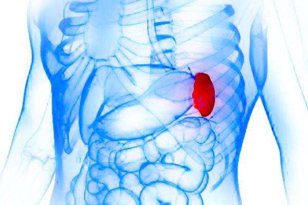 Cura e ripristino naturale della Milza